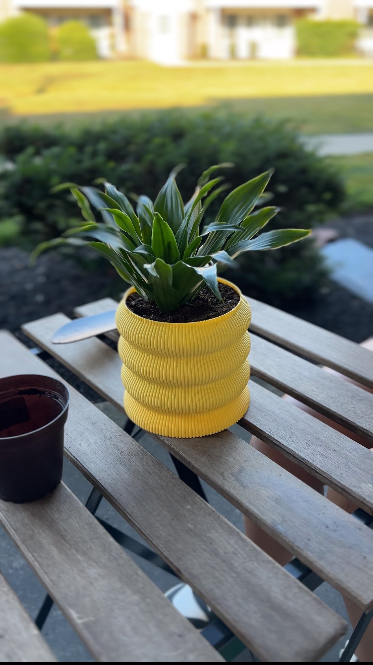 Planter Pots